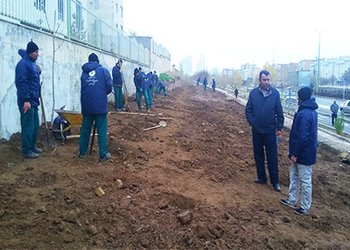 انتخاب گونه های گیاهی فضای سبز، متناسب با شرایط اقلیمی شهر قزوین انجام می شود