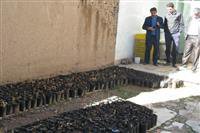 نهال‌های هر مدرسه یک نهالستان در چهارمحال و بختیاری آماده غرس درطبیعت است