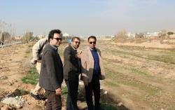 آماده سازی و بهبود سیما و منظر محور خلیج فارس