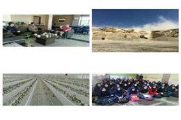 برگزاری برنامه های گرامیداشت هفته هوای پاک در شهرستان دماوند