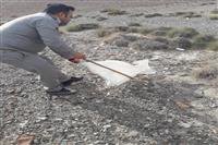 رها سازی یک حلقه مار، تحویلی توسط دوستداران حیات وحش به اداره حفاظت محیط زیست شهرستان منوجان