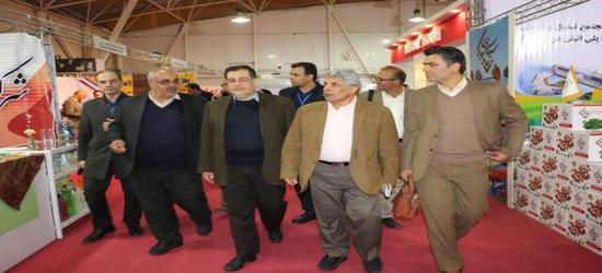 رییس شورای شهر شیراز: تلاشی برای اثربخشی صنایع در اقتصاد فارس نمی‌شود