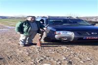 دستگیری شکارچی غیرمجاز و جمع آوری دام هوایی در ساری