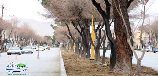 گزارش تصویری / روایتی از اقدام و تلاش در حوزه فضای سبز شهری