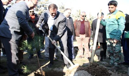 طرح نهضت درختکاری میراثی ماندگار برای تبریز خواهد بود