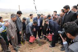 دغدغه اصلی شهرداری شیراز حفظ طبیعت و بهبود زیست شهری است