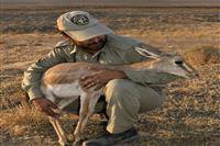 تخلفات زیست محیطی را گزارش کنید و از دولت پاداش بگیرید!