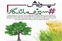 در هفت سین امسال به جای سبزه از نهال استفاده کنیم و در روز سیزده به در آن را در طبیعت بکاریم (به پویش #سبزه_ماندگار بپیوندیم