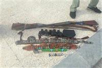 افزایش عملیات گشت و کنترل یگان حفاظت محیط زیست شهرستان جیرفت در روزهای آغازین سال جدید