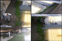 جمع آوری ۵۰ رشته تورماهیگیری ازرودخانه های مازندران