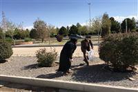 پاکسازی محورگردشگری هفت باغ باحضور مدیرکل، مسئولین وکارشناسان حفاظت محیط زیست و شهرداری استان کرمان