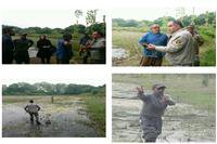 رفع تصرف بخشی ازاراضی ملی جنگلی در فریدونکنار