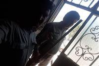 متخلف حرفه ای چهار راس کل و بز، دو راس قوچ و میش،  یک قلاده گرگ و یک قلاده شغال در دام مامورین یگان حفاظت محیط زیست شهرستان ریگان کرمان