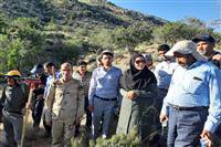 اتش سوزی در پارک ملی خبر کرمان