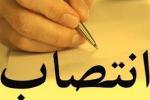 رییس شورای "شهر دوستدار کودک" منصوب شد