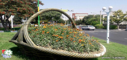 سطح حوزه شهرداری منطقه ۳ تبریز گلکاری شد
