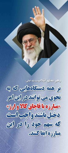 مبارزه با قاچاق کالا و ارز