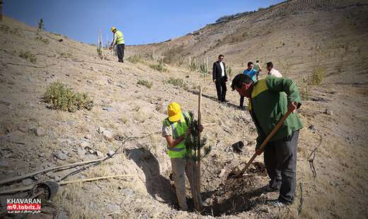 کاشت ۴هزار اصله نهال در تفرجگاه جنگلی ائل باغی