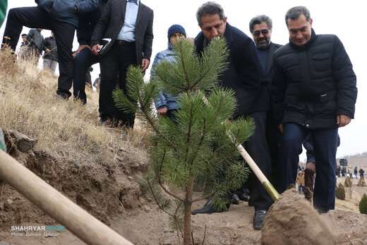 نهالکاری همگانی در تفرجگاه ائل باغی