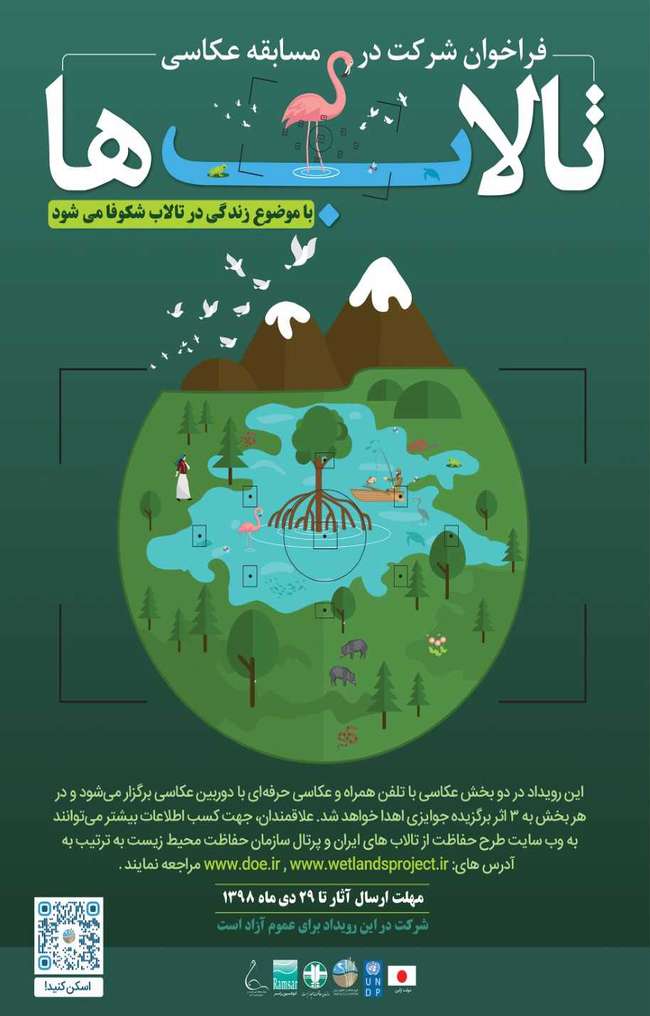 فراخوان شرکت در مسابقه عکاسی ویژه تالاب ها با موضوع زندگی در تالاب شکوفا می شود