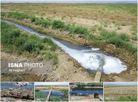 یک سوم آب کشاورزی را همدان و اردبیل مصرف می کنند