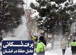 برف تکانی درختان برای جلوگیری از شکسته شدن شاخه ها/ شهروندان با برف تکانی درختان مقابل منازل، خادمین شهر را در خدمت رسانی هر چه بهتر یاری کنند