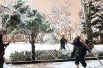 آماده باش نیروهای خدمات شهری از امشب