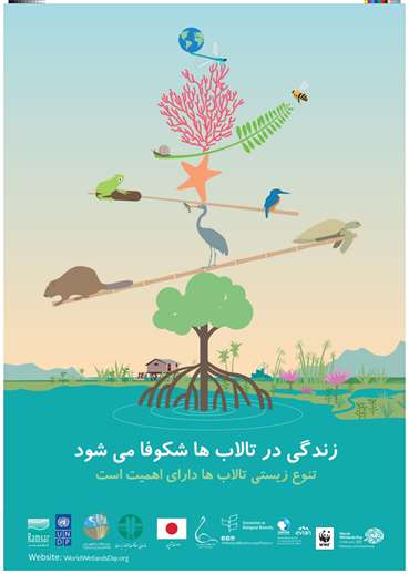 مراسم روز جهانی تالاب ها در تالاب زریوار برگزار می شود