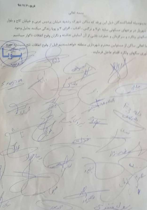جمع‌آوری سگ های بلاصاحب صرفا با آمپول بیهوشی صورت می گیرد