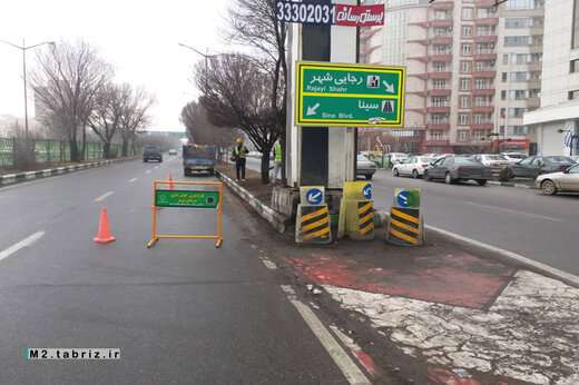 انجام هرس و فرم دهی درختان بلوار دکتر حسابی