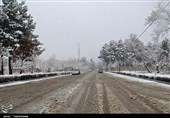 بارش برف و باران در جاده چالوس