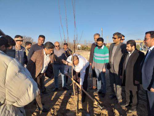 کاشت درخت از سوی شهردار مشهد در آرامگاه فردوسی