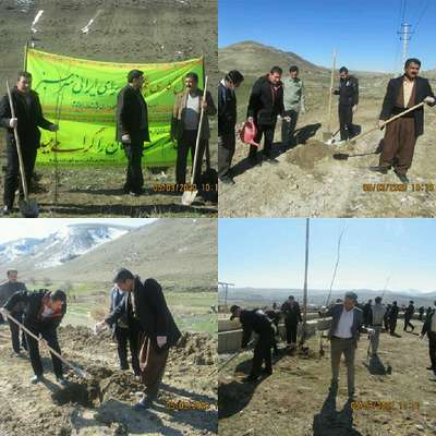 مراسم درختکاری در شهرستان دیواندره