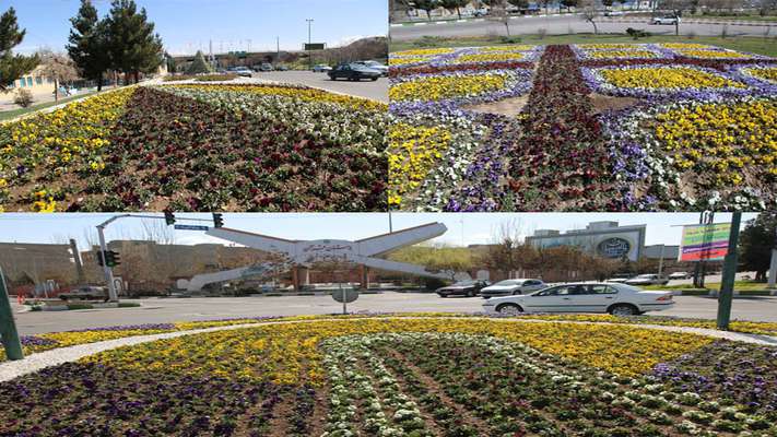 زیباسازی جنوب غرب تبریز برای حفظ نشاط شهروندان