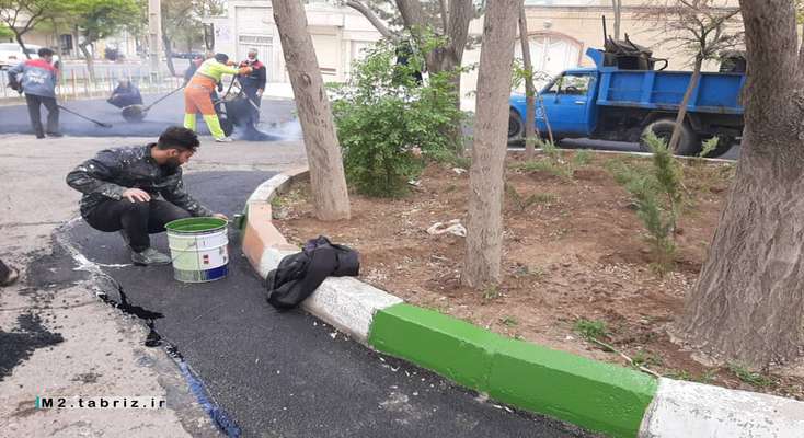 لکه گیری آسفالت و رنگ آمیزی جداول در خیابان گل های گلشهر