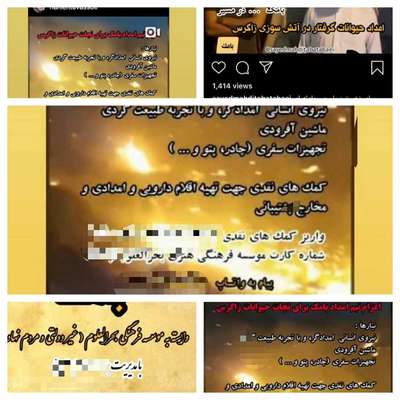 دریافت هرگونه وجه نقد برای کمک به حیات وحش خائیز کذب محض است