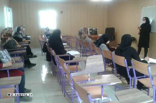 برگزاری کارگاه طب سنتی آرگونومیک و خانه داری