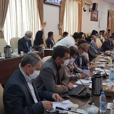 دانشگاه ها در حوزه تالاب ها مطالعه کنند