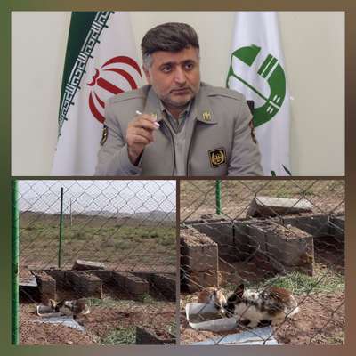 اطلاعیه محیط زیست سمنان در خصوص جمع آوری کمک های نقدی برای یوزپلنگ ها