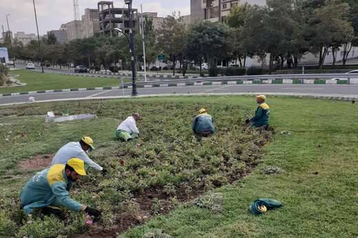 تداوم انجام وجین کاری در سطح حوزه شهرداری منطقه ۲