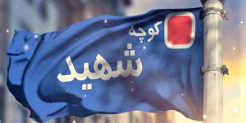 نامگذاری ۸۰۰ معبر اصلی و فرعی به نام شهدای دانش آموز