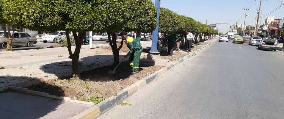 آماده سازی بلوارها ، میادین و فضاهای سبز سطح شهر خرمشهر جهت کاشت گُل و فرش های گل