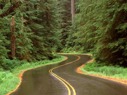 بازسازی جاده آسیایی گلستان معطل اعتبار