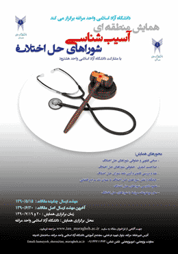 همایش منطقه ای آسیب شناسی شوراهای حل اختلاف