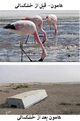 خشکسالی معضل سیستان و بلوچستان