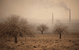 استاندار: ۴۵ هزار ماسک تنفسی در سیستان توزیع می‌شود