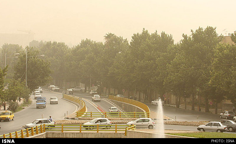 شرایط نامطلوب درختان در پی هجوم ریزگردهای عربی