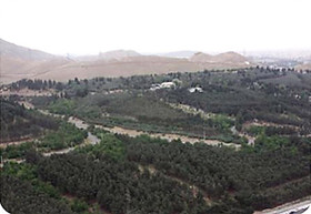 تشکیل جلسه برای حل وفصل پرونده "شهرک زیتون"