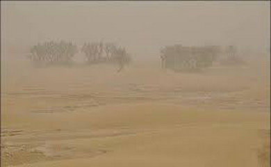 پرندگان مهاجر در گرد و غبار راه را گم می‌کنند