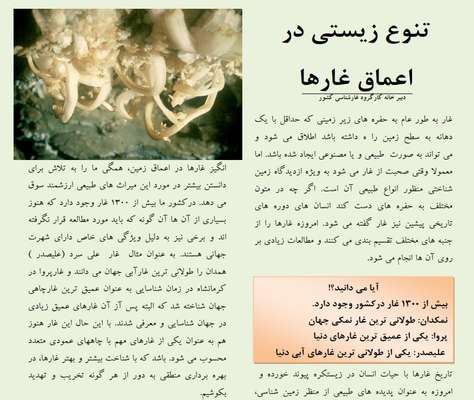 تنوع زیستی در اعماق غارها